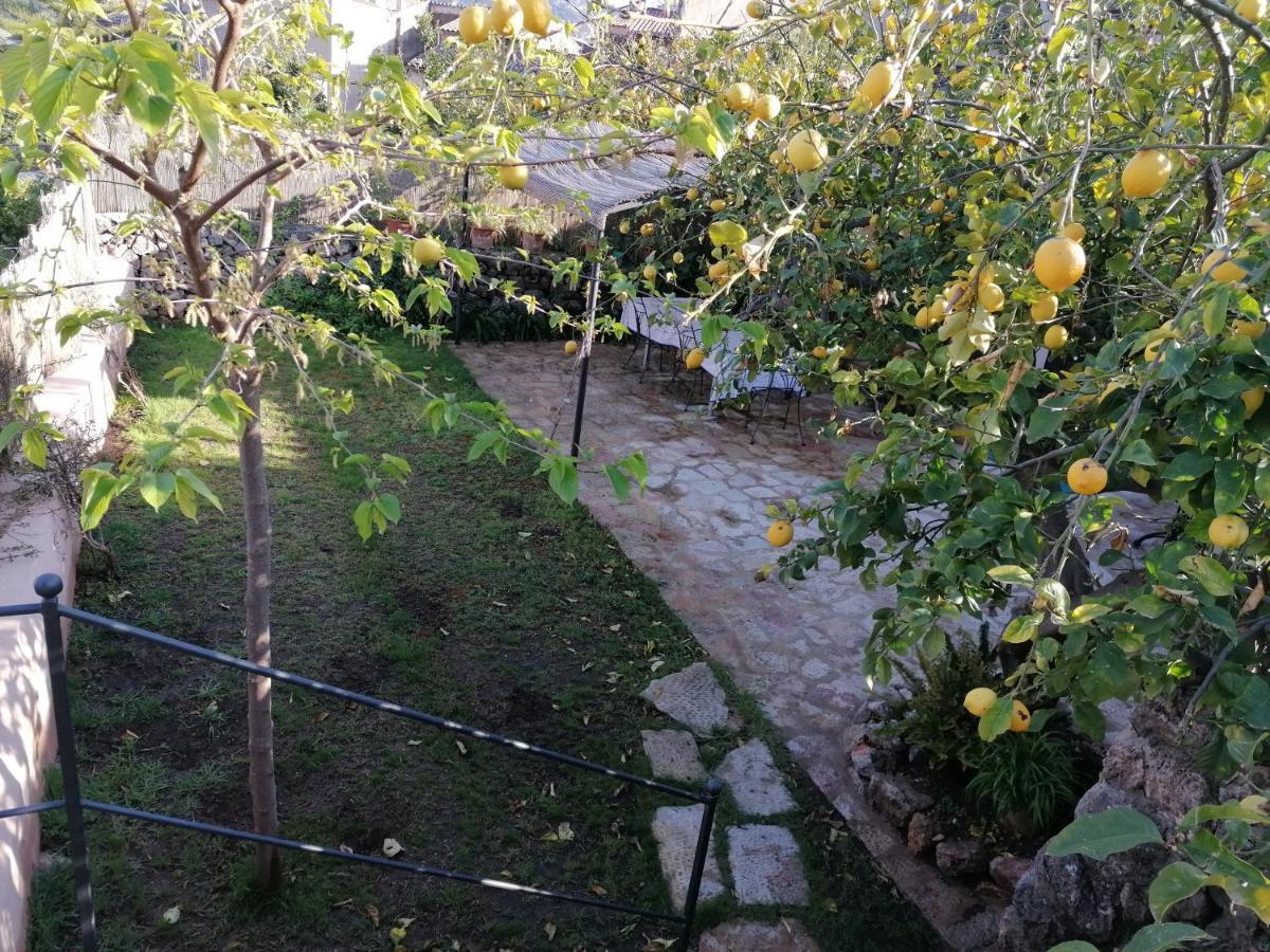 Filoses 18A Valldemossa  Exteriör bild